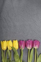 Similar image 21816652