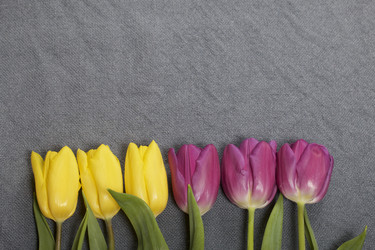 Similar image 21816653