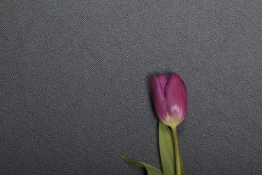 Similar image 21816654