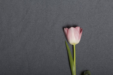 Similar image 21816655