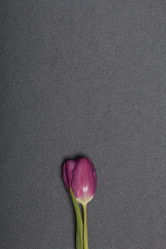 Similar image 21816657