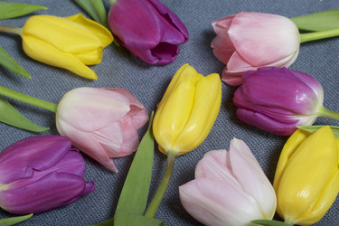 Similar image 21816663