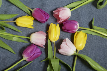 Similar image 21816664