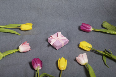 Similar image 21816665