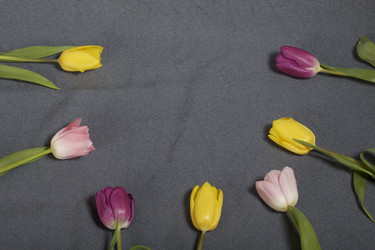 Similar image 21816666