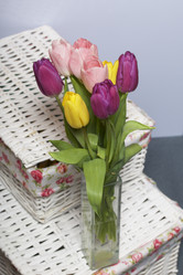 Similar image 21816676