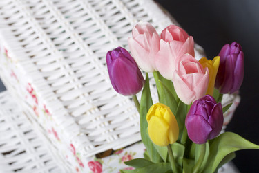 Similar image 21816680