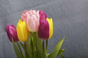 Similar image 21816682