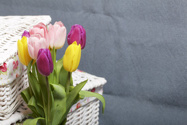 Similar image 21816685