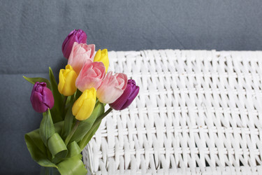 Similar image 21816692