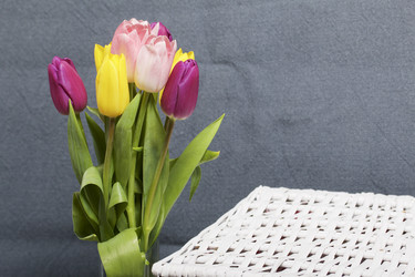 Similar image 21816694