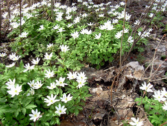 Similar image 21816696