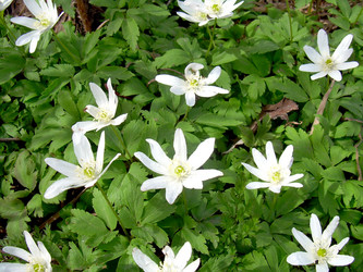 Similar image 21816697