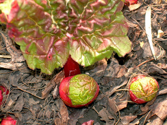 Similar image 21816698