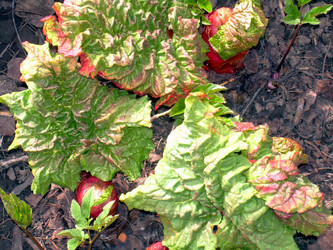 Similar image 21816699