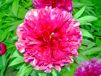 Similar image 21816700