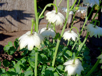 Similar image 21816704