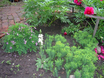 Similar image 21816705