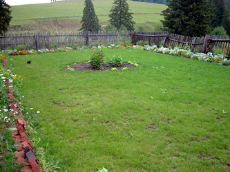 Similar image 21816707