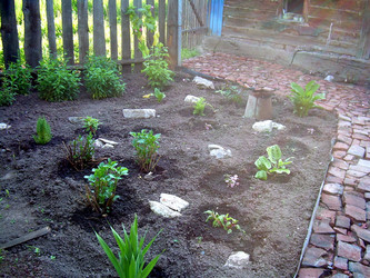 Similar image 21816708