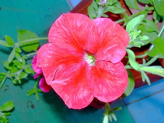 Similar image 21816709