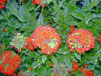 Similar image 21816710