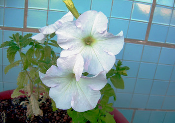 Similar image 21816711