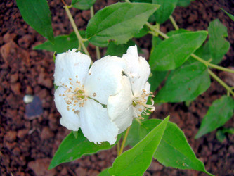 Similar image 21816714