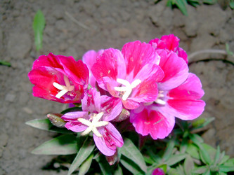 Similar image 21816715