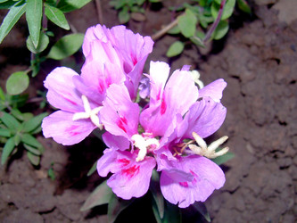 Similar image 21816716