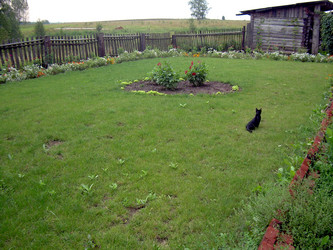 Similar image 21816719