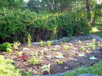 Similar image 21816722