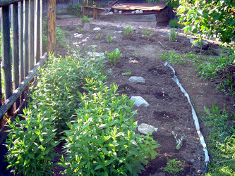 Similar image 21816725