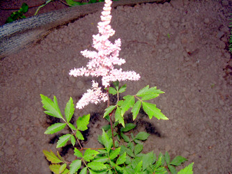 Similar image 21816727