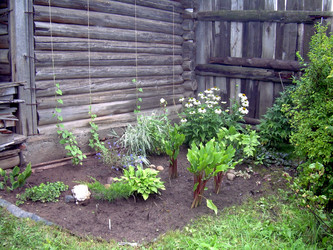 Similar image 21816730