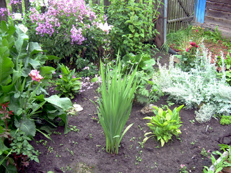 Similar image 21816731