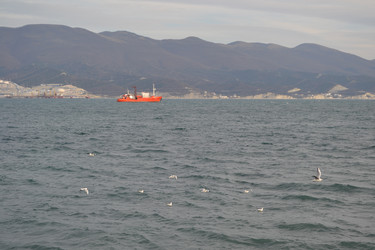 Similar image 21822458