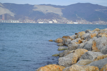 Similar image 21819929