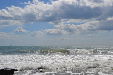 Similar image 21818162