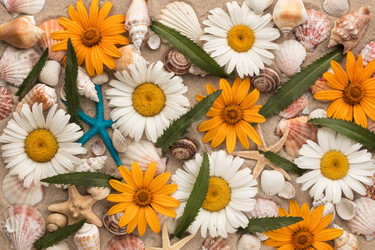 Similar image 21816742