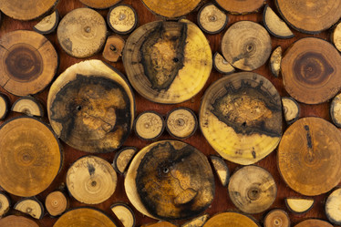 Similar image 21816745