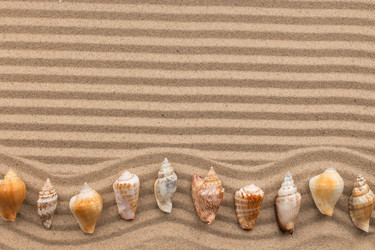 Similar image 21816750