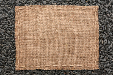 Similar image 21816761