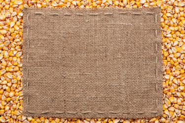 Similar image 21816766