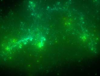 Similar image 21821439