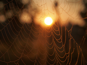 Similar image 21817003