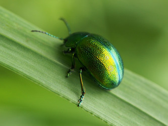 Similar image 21817005