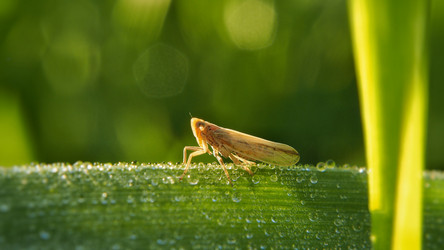 Similar image 21817006