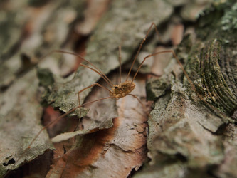 Similar image 21817007