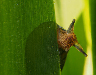 Similar image 21821648